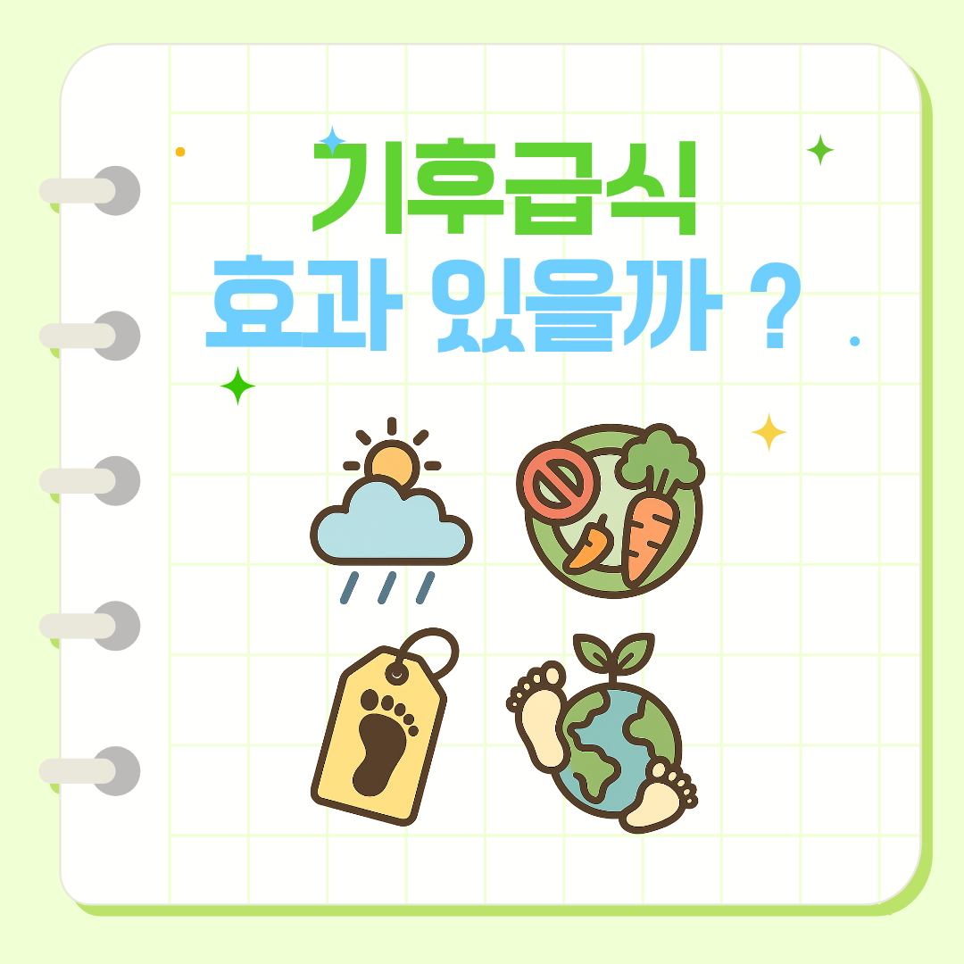 기후급식 효과 있을까? 채식급식 논란부터 탄소발자국까지 핵심 정리
