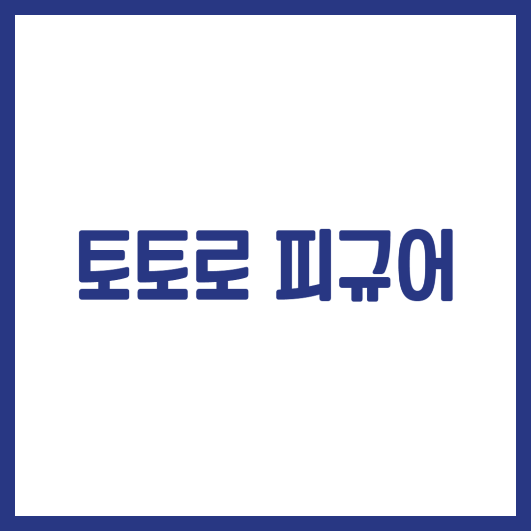 토토로 피규어