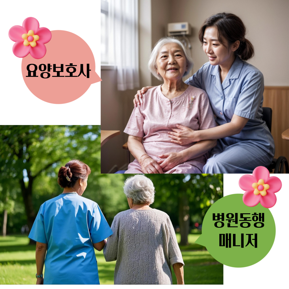 병원 동행 매니저 vs 요양보호사 차이점