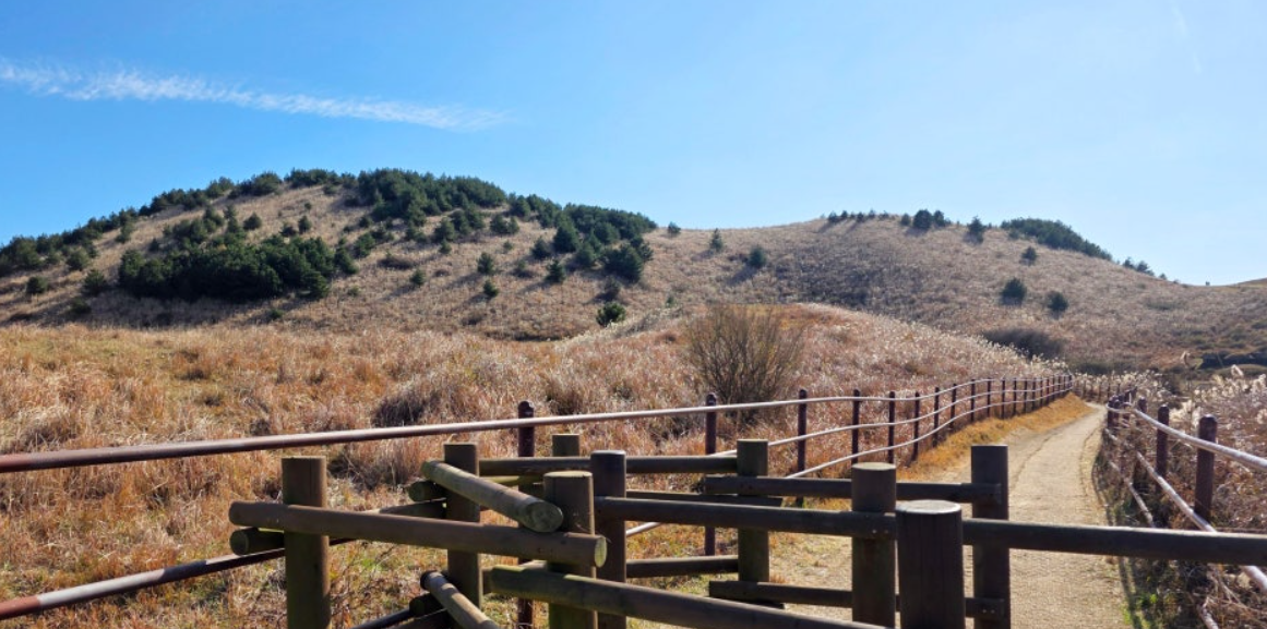 제주 용눈이오름