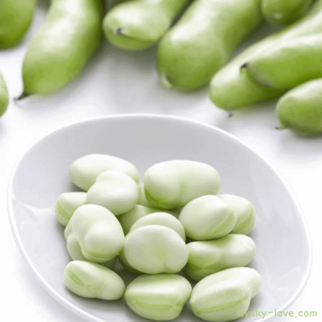 파바빈 먹는 방법