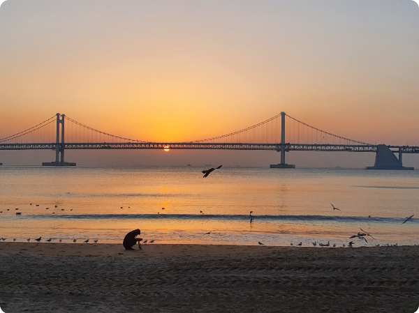 부산 광안리 바닷가 이미지