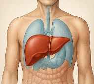 간에 좋은 음식 10가지
