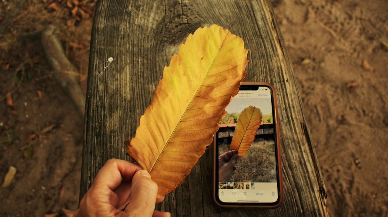 스마트홈 DIY 실전 강의 시리즈: 주차장 센서부터 간접조명까지