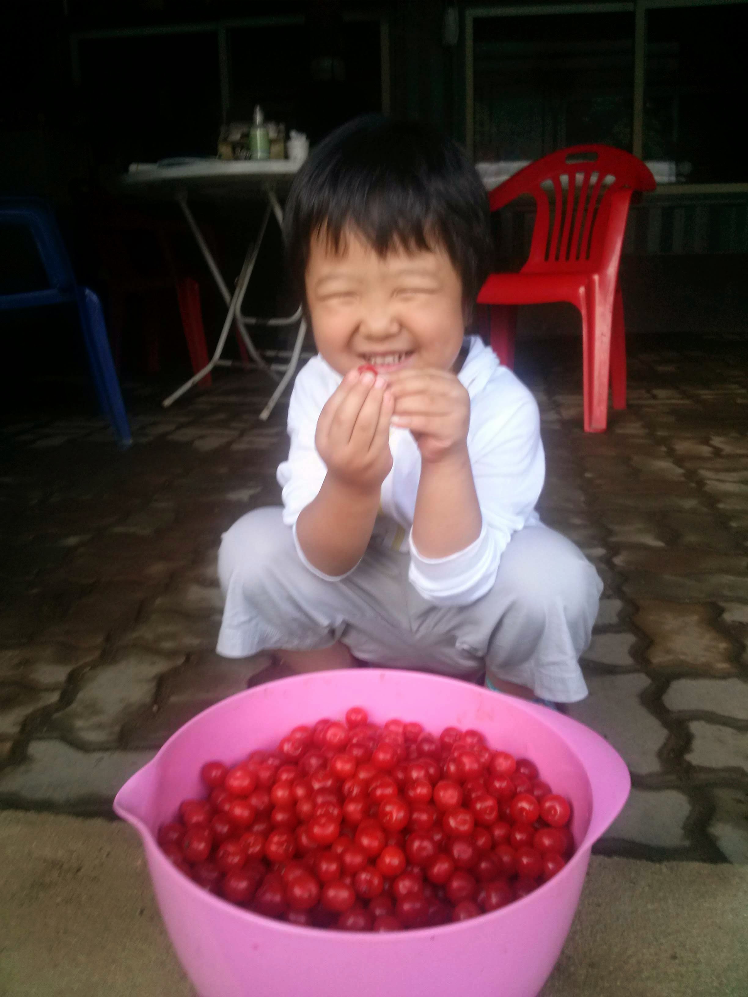 직접 딴 앵두를 들고 즐거워하는 아이