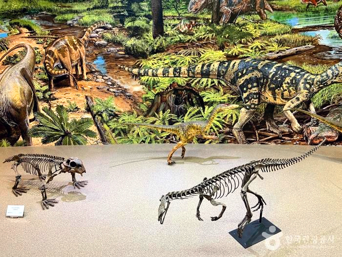 공룡 모형이 여러개 있다.