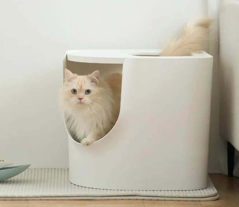 고양이 화장실 크기 대형 자동화장실 추천_6