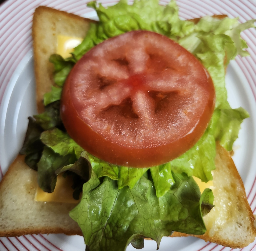 마늘갈릭 오픈 샌드위치