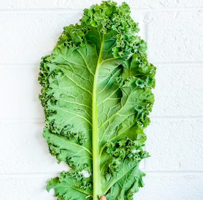 케일 효능과 부작용 고르는법 칼로리