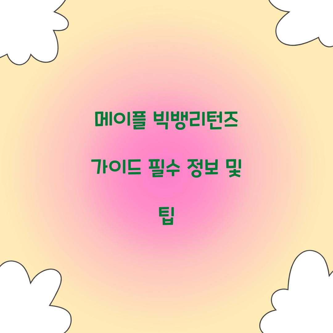 메이플 빅뱅리턴즈 가이드