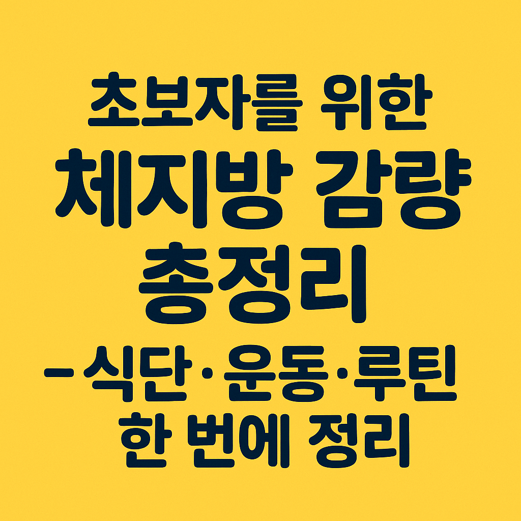 초보자를 위한 체지방 감량 총정리 – 식단·운동·루틴 한 번에 정리