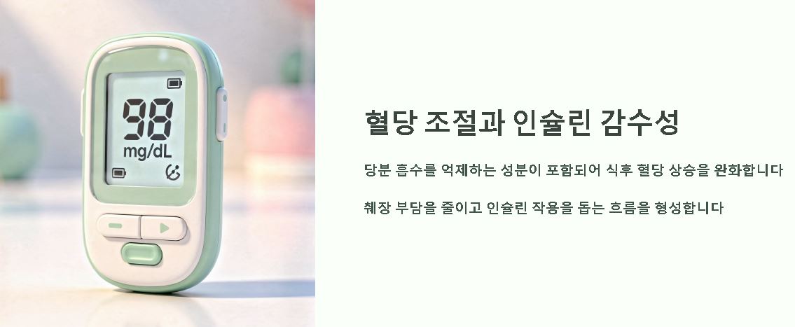 구찌뽕의 효능과먹는방법