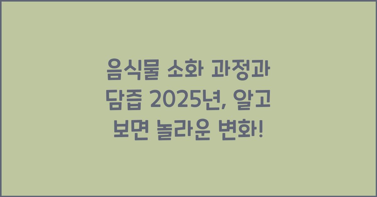 음식물 소화 과정과 담즙 2025년