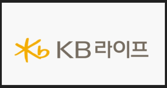 KB생명