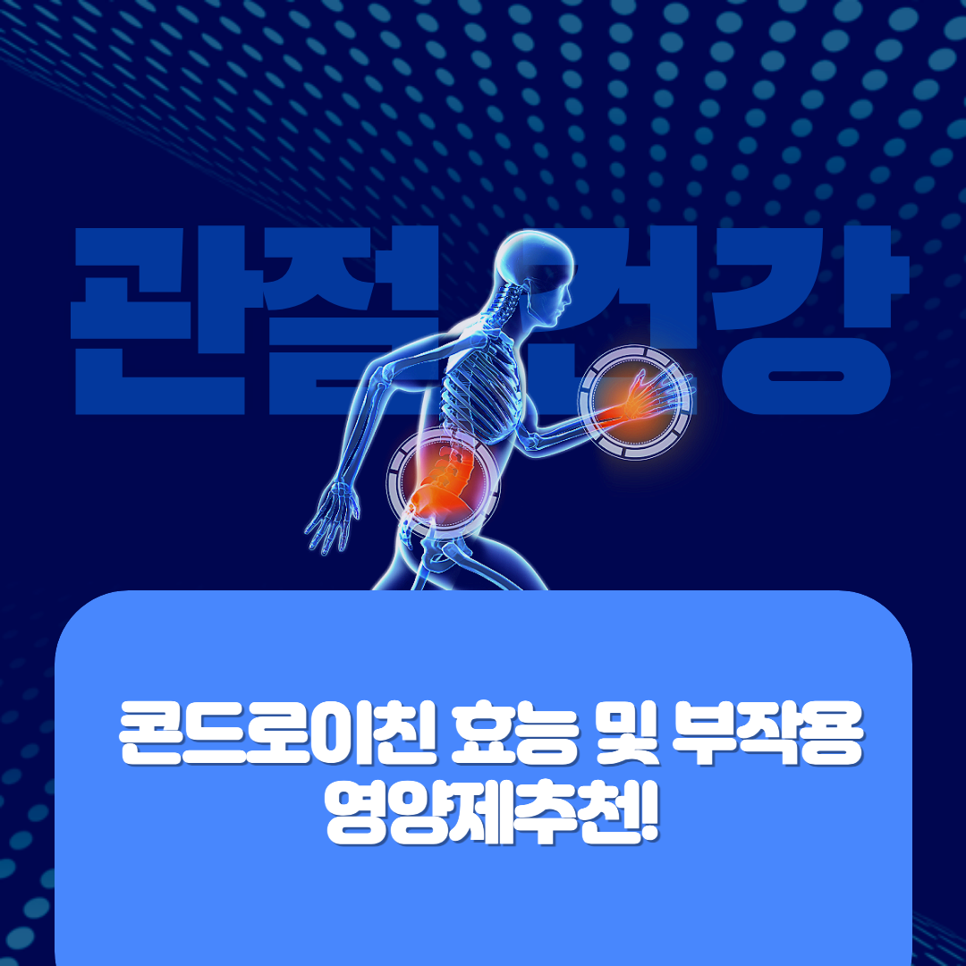 콘드로이친 섬네일