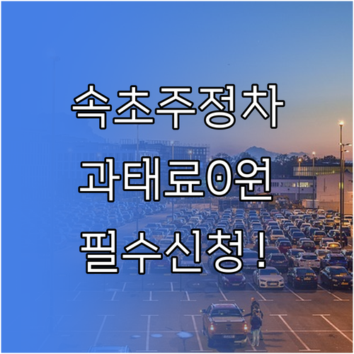 속초시 주정차 문자 알림 신청 및 5..