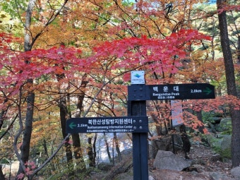 서울 북한산 단풍