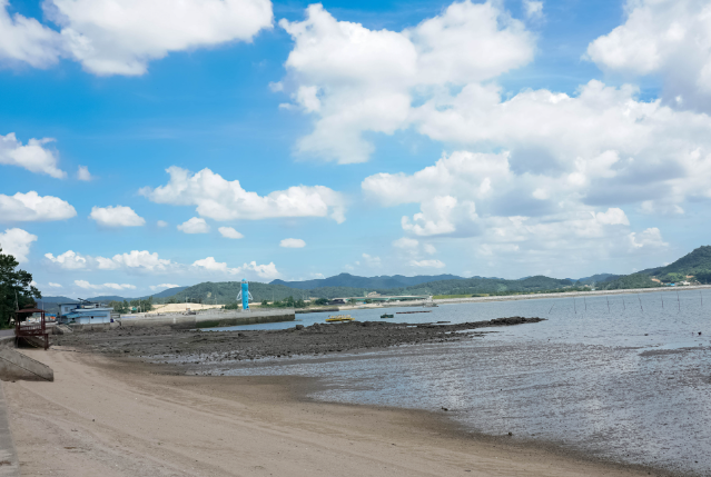 무안 읍내 자차 없는 생활 가능 여부&mdash; 차 없이 살 수 있는지, 가능은 한지, 실제로는 어떤 불편이 생기는지까지 현실 기반으로 분석