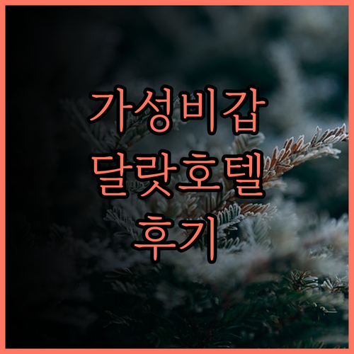 가성비 최고 Hawaii Hotel