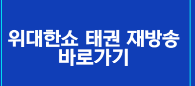 위대한 쇼 태권 재방송 바로가기