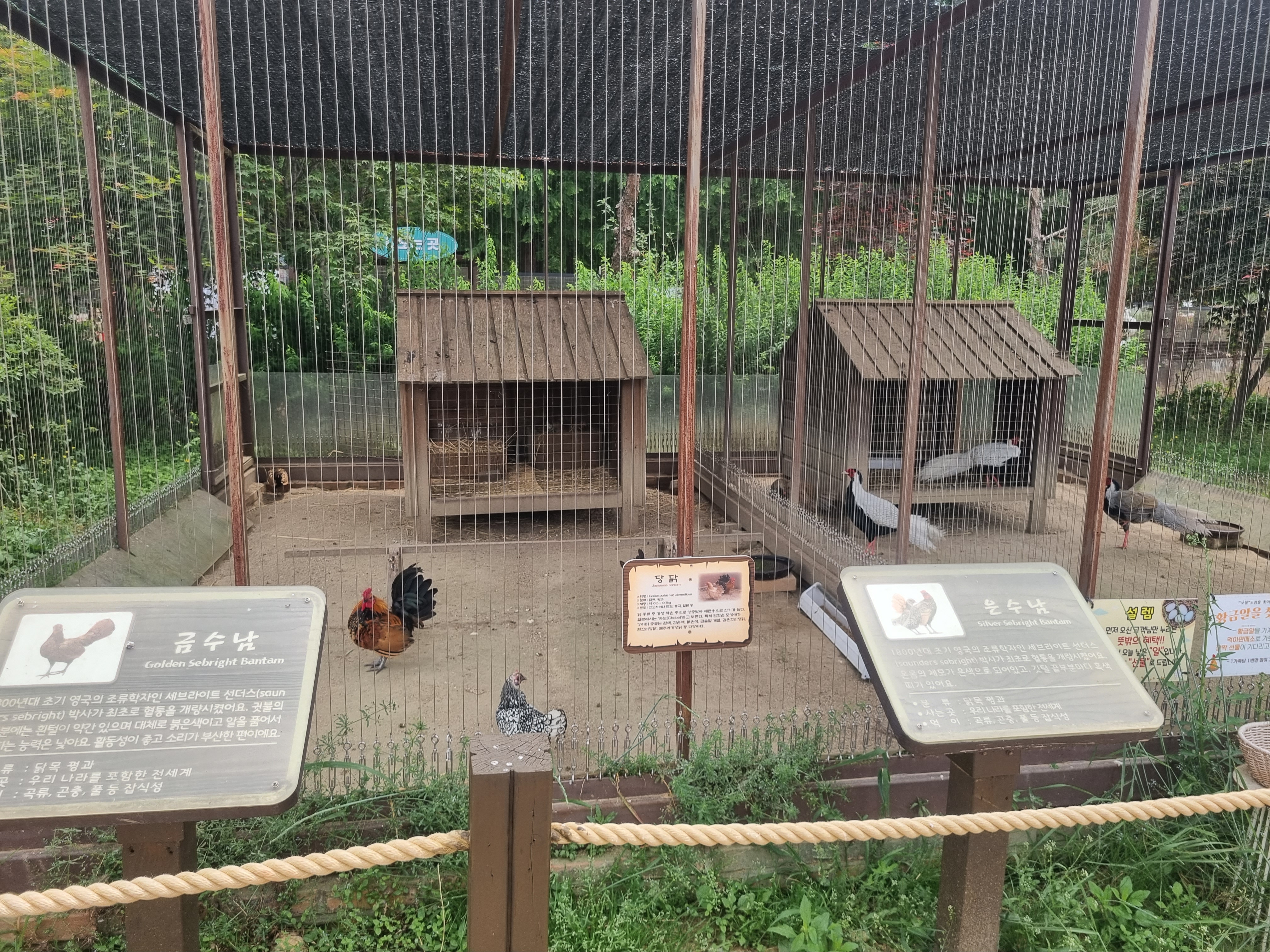 안성팜랜드 체험목장