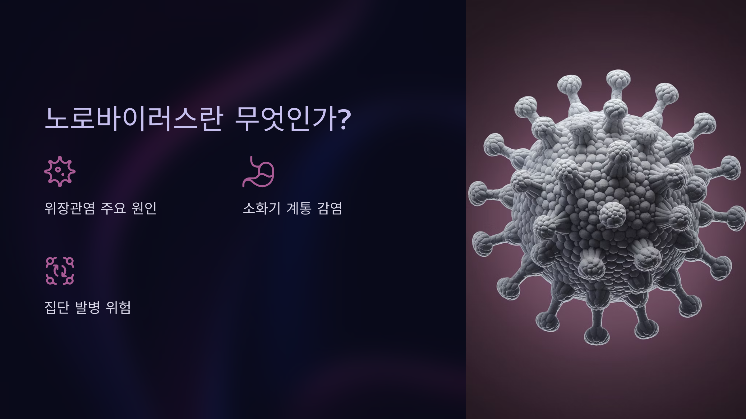 노로바이러스란 무엇인가?