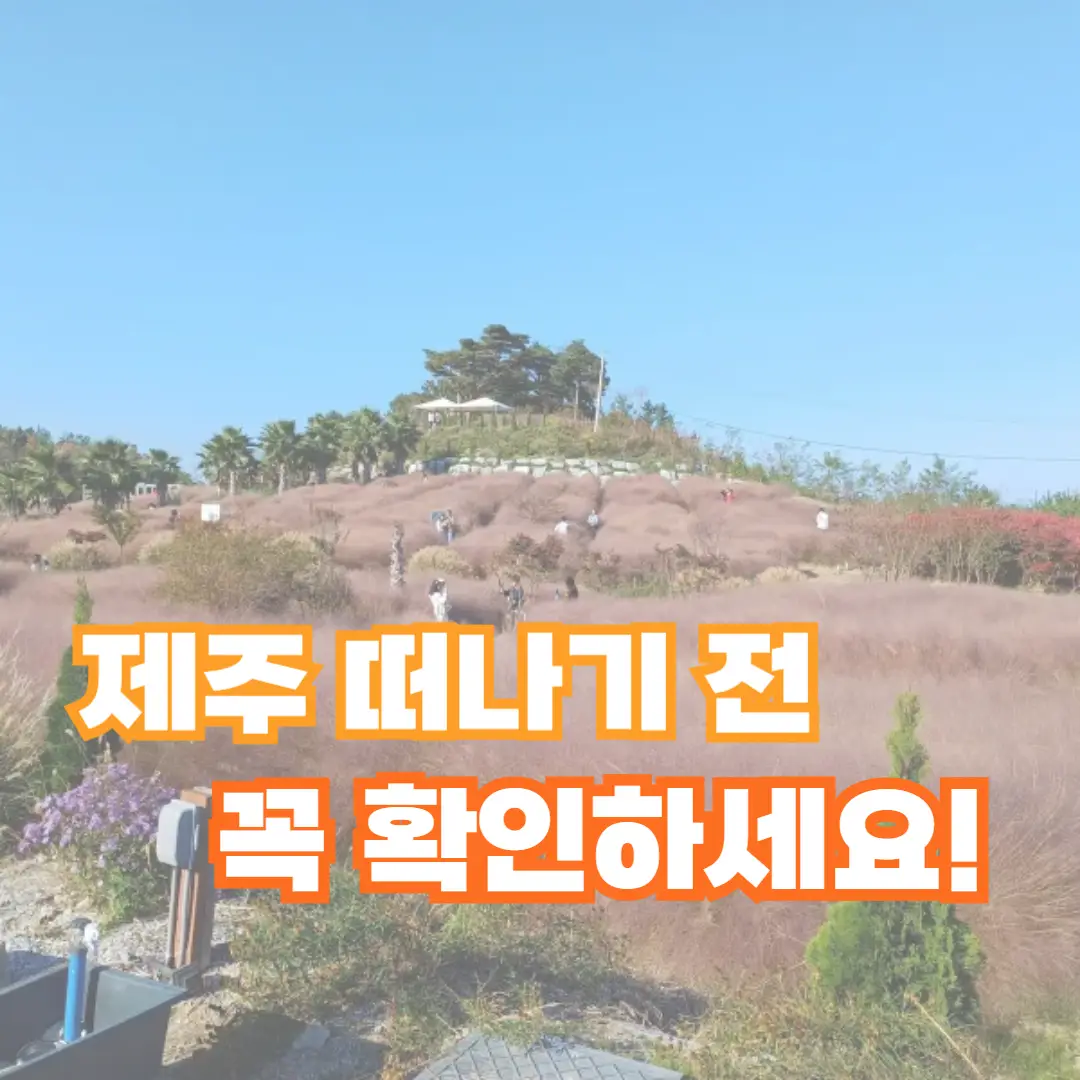 제주 여행 준비 꿀팁 알아보기