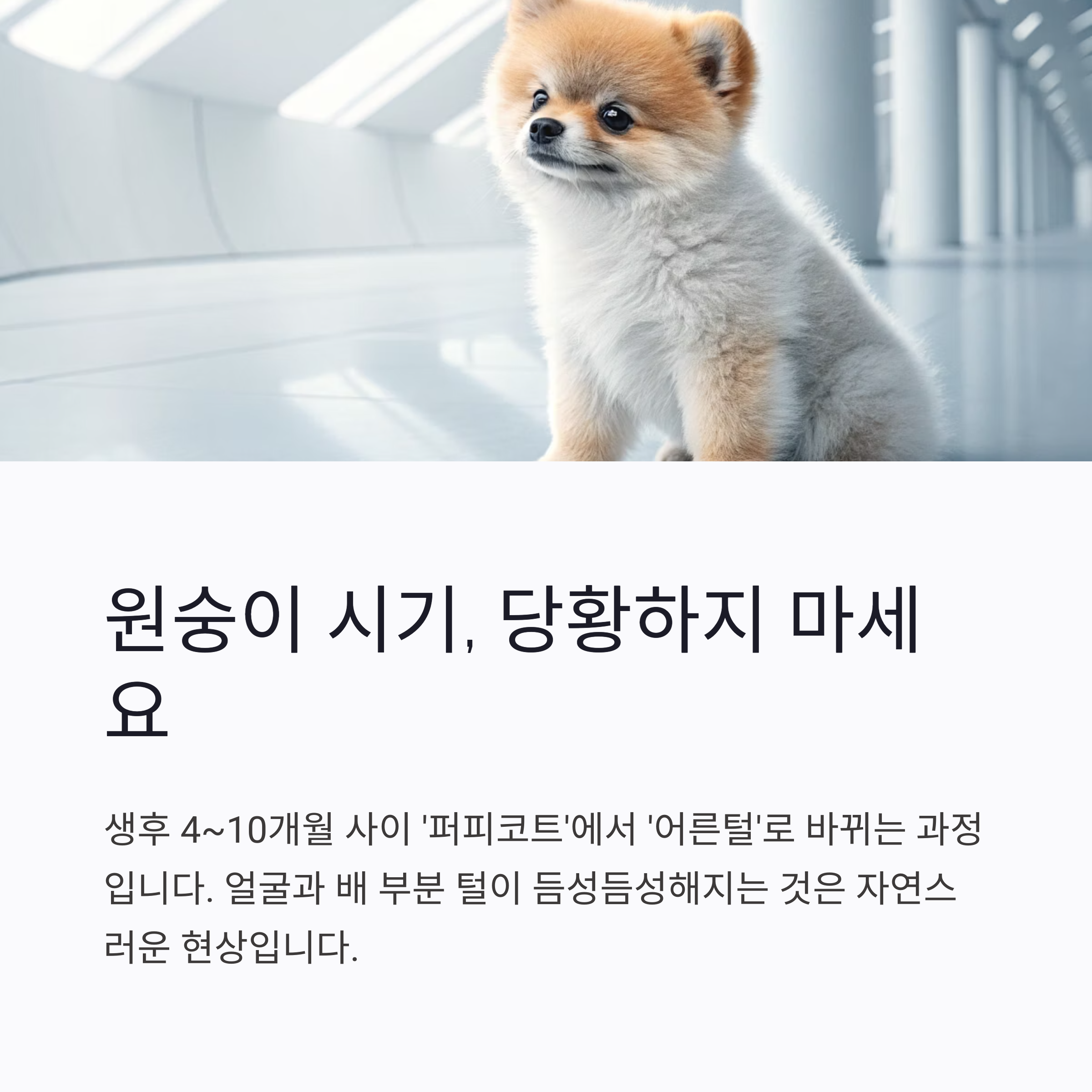 원숭이 시기, 당황하지 마세요