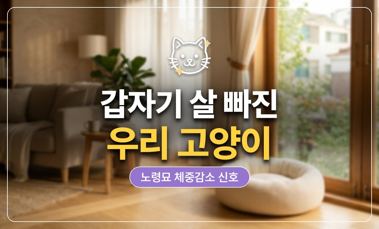 고양이 체중감소 원인