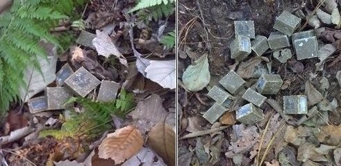 광견병 미끼 예방약