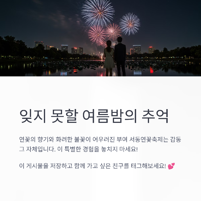 부여 연꽃축제 야간