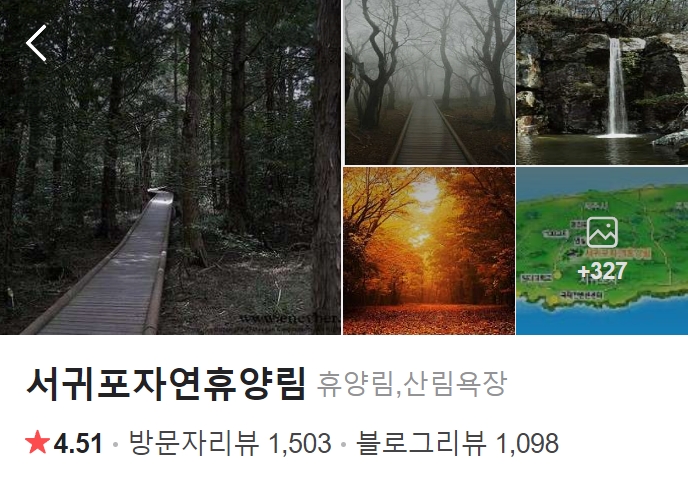 서귀포-자연휴양림-썸네일