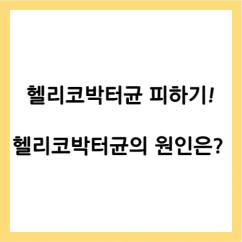 헬리코박터균 원인