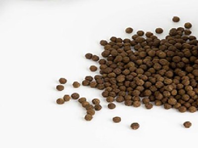 구기자 먹는법 및 구기자 가루 먹는법