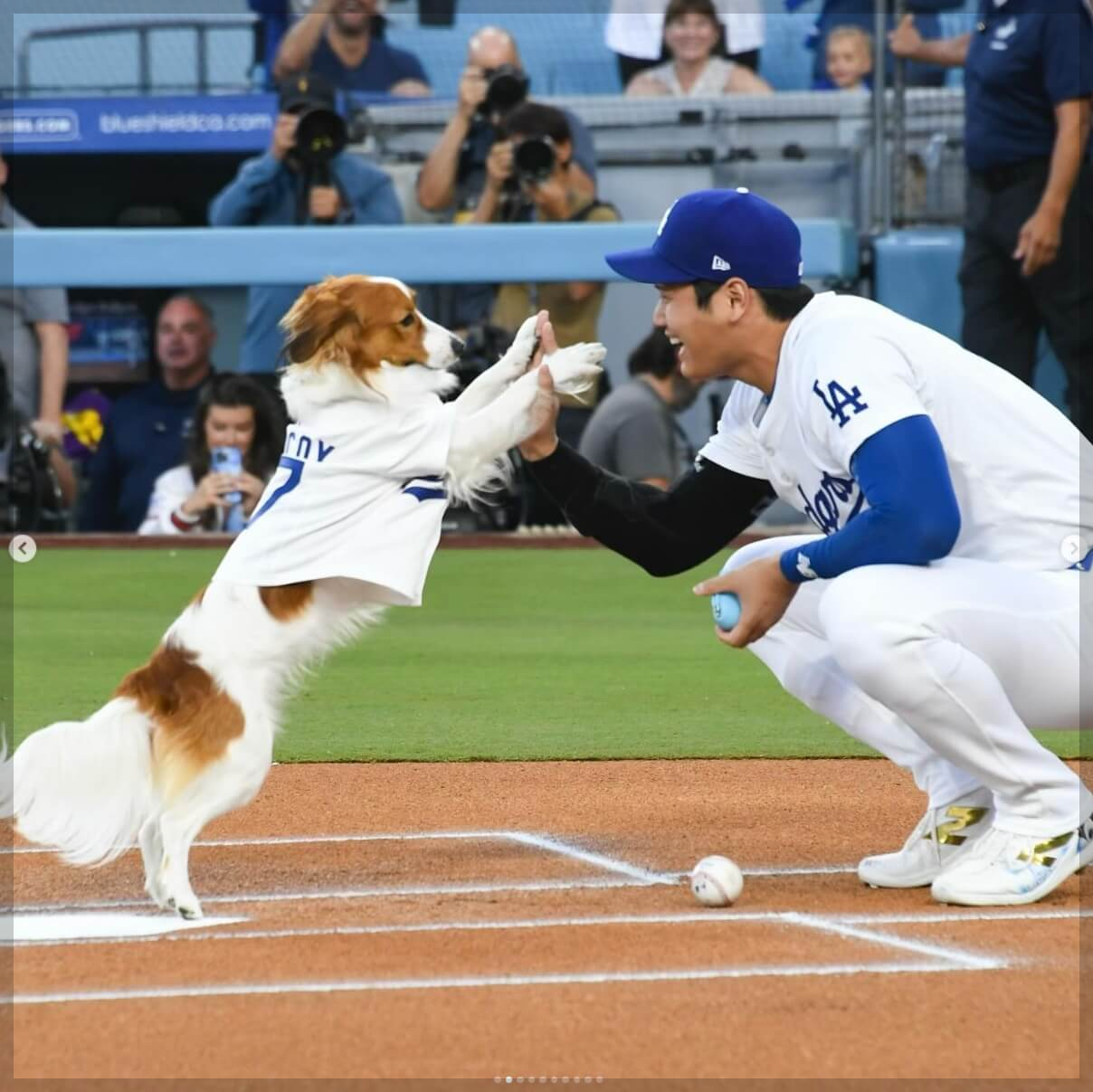 오타니 쇼헤이: 50홈런 50도루 달성&amp;#44; 하이라이트 영상 보기