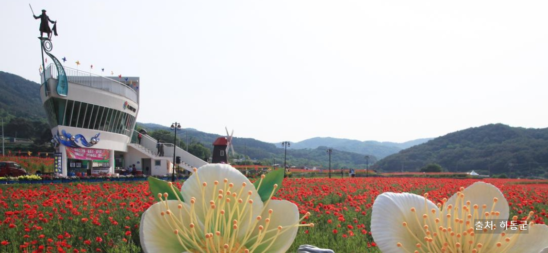 하동꽃양귀비축제