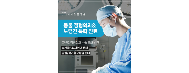 서울 광진구 동물병원