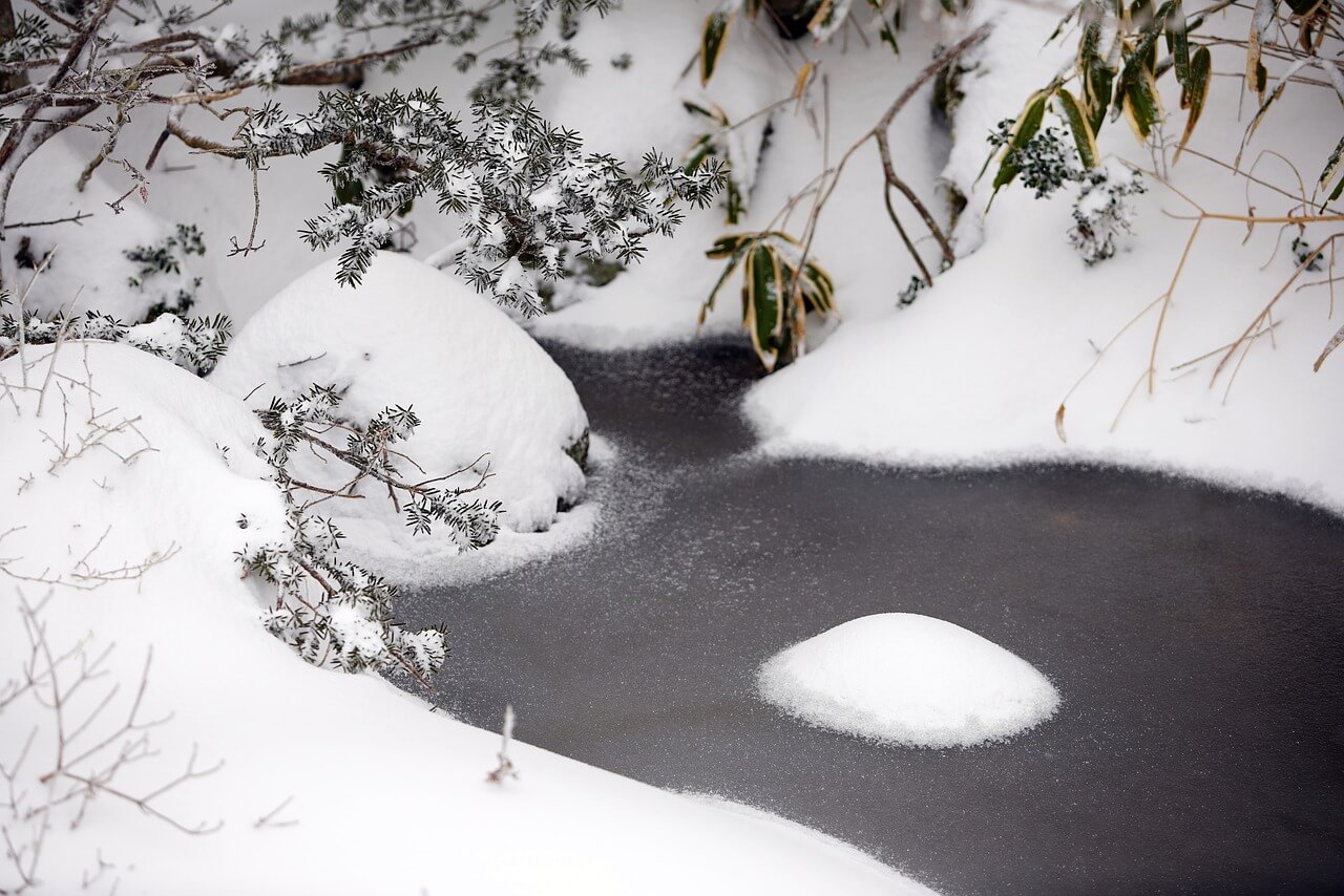 한라산 백록샘 가는 등산코스예약 방법4