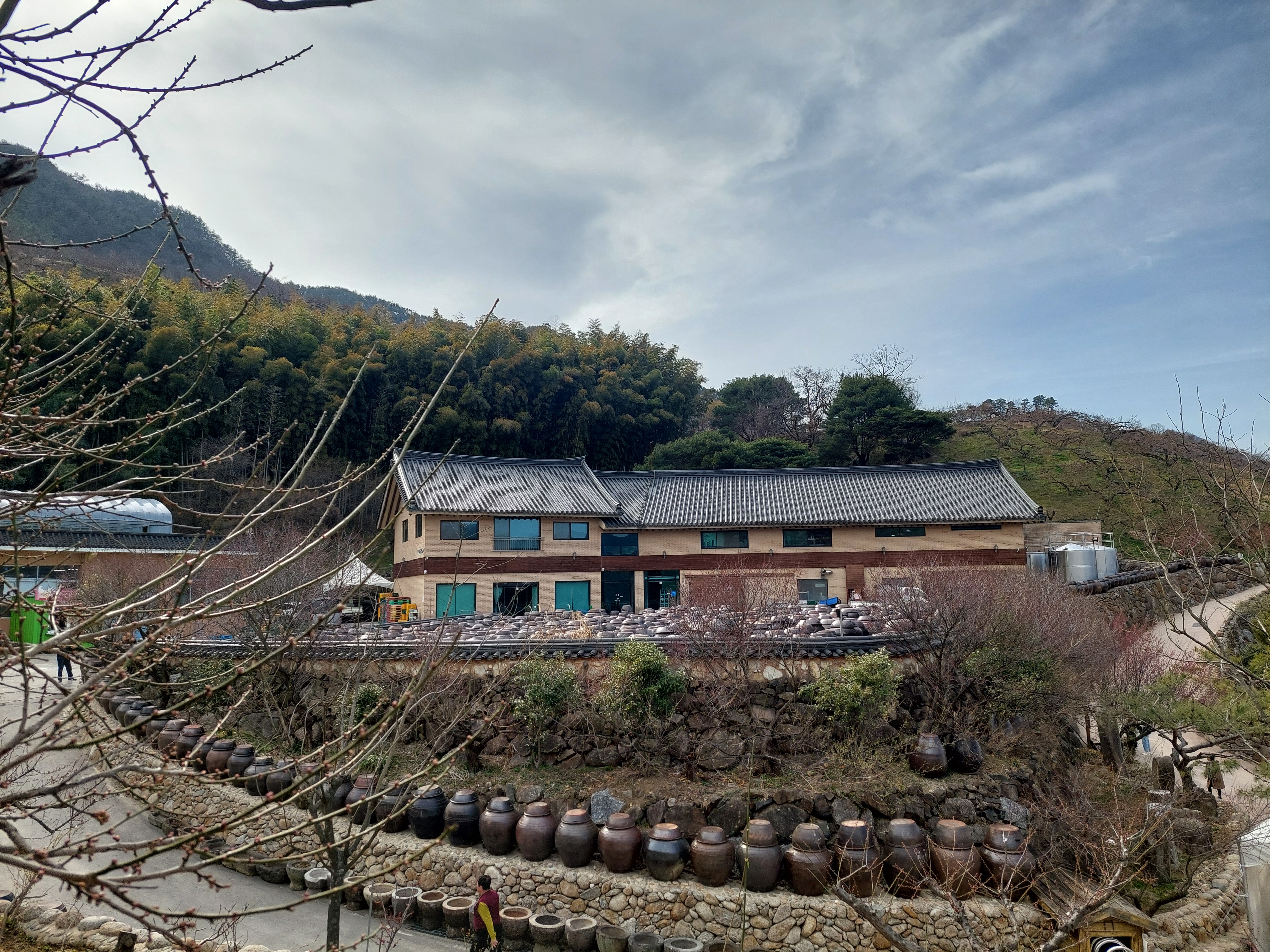 쫓비산