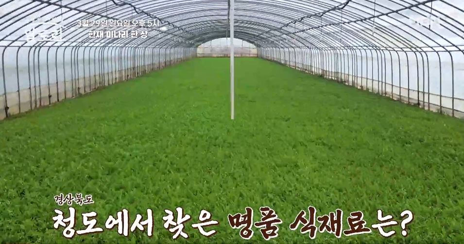 알토란 미나리솥밥 미나리오리구이 미나리무침