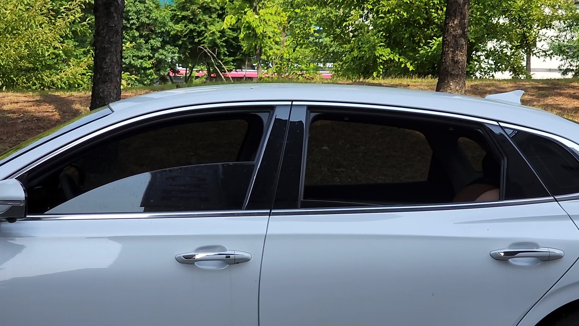 작동 테스트를 위해 1열은 창문을 반만 열었고 2열은 완전히 열었다.