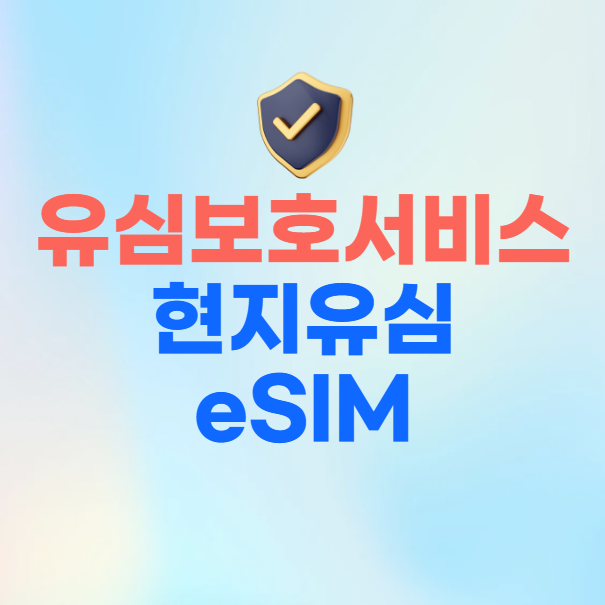 유심보호서비스 현지유심 이심