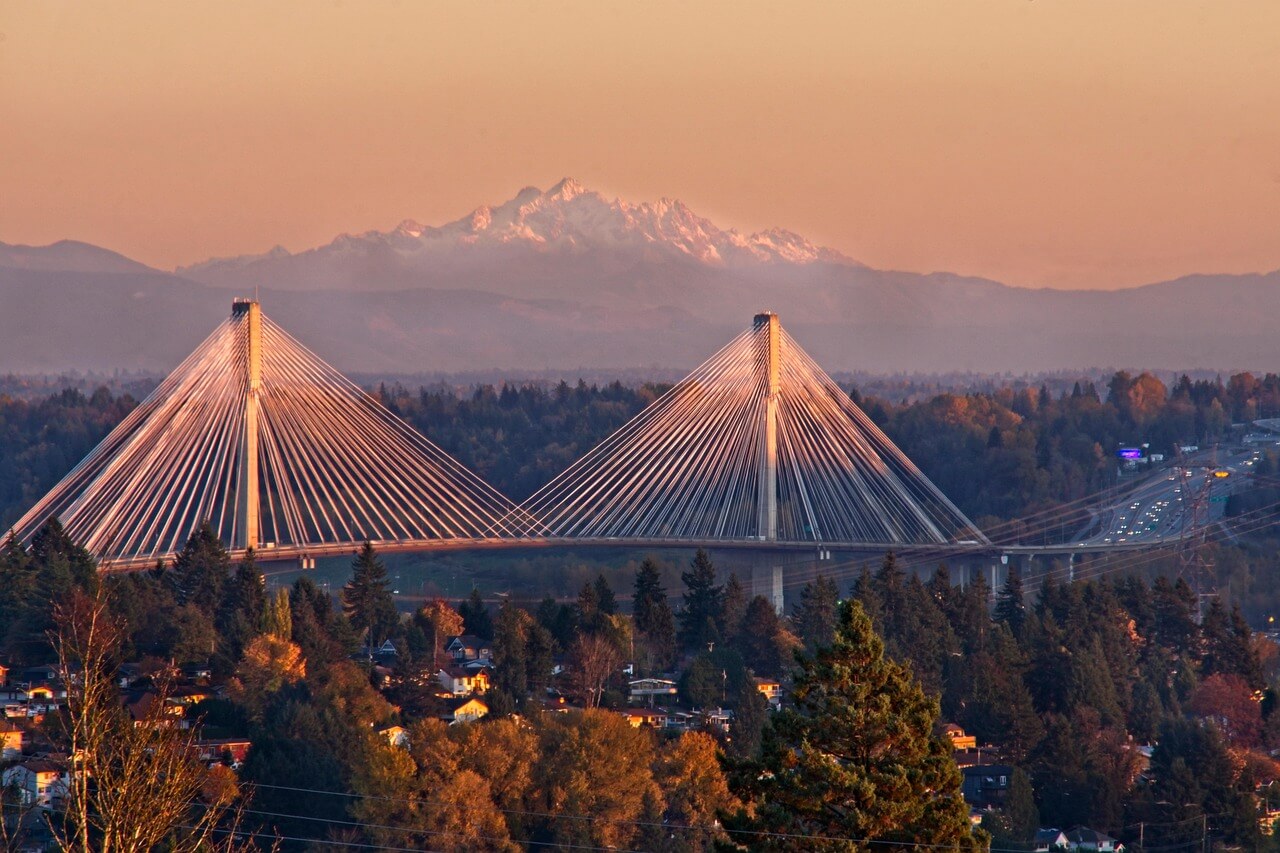 AI가 분석하는 토양 오염과 도시 나무 건강