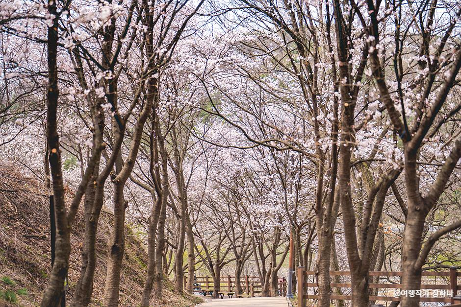 미르숲