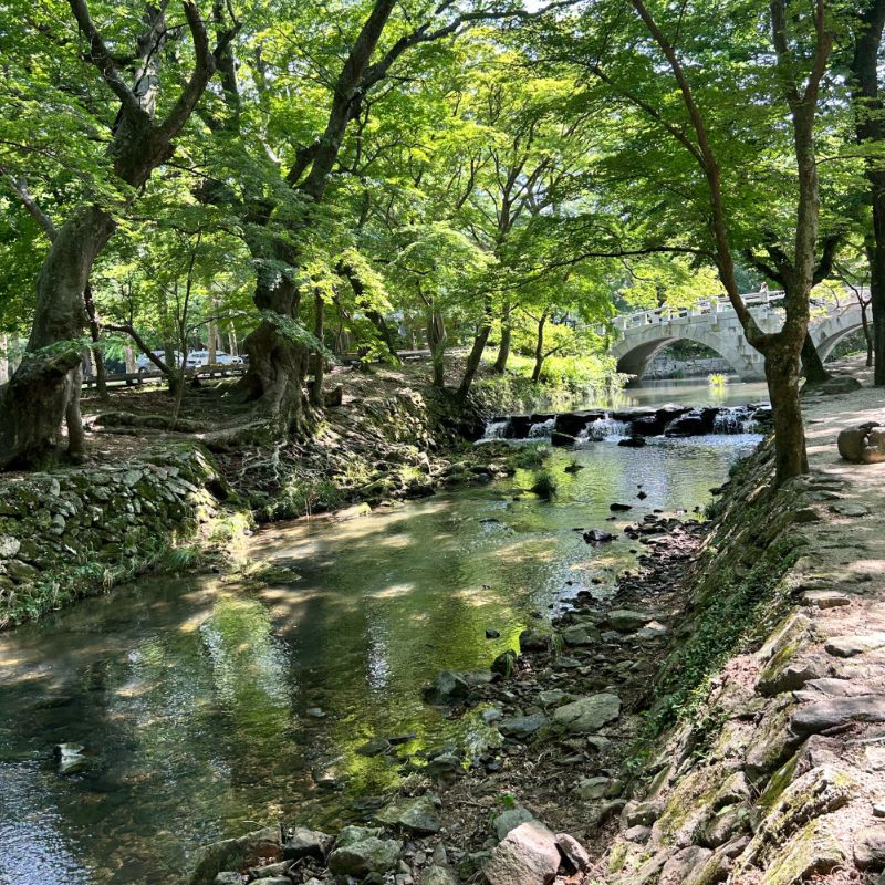 선운산도립공원