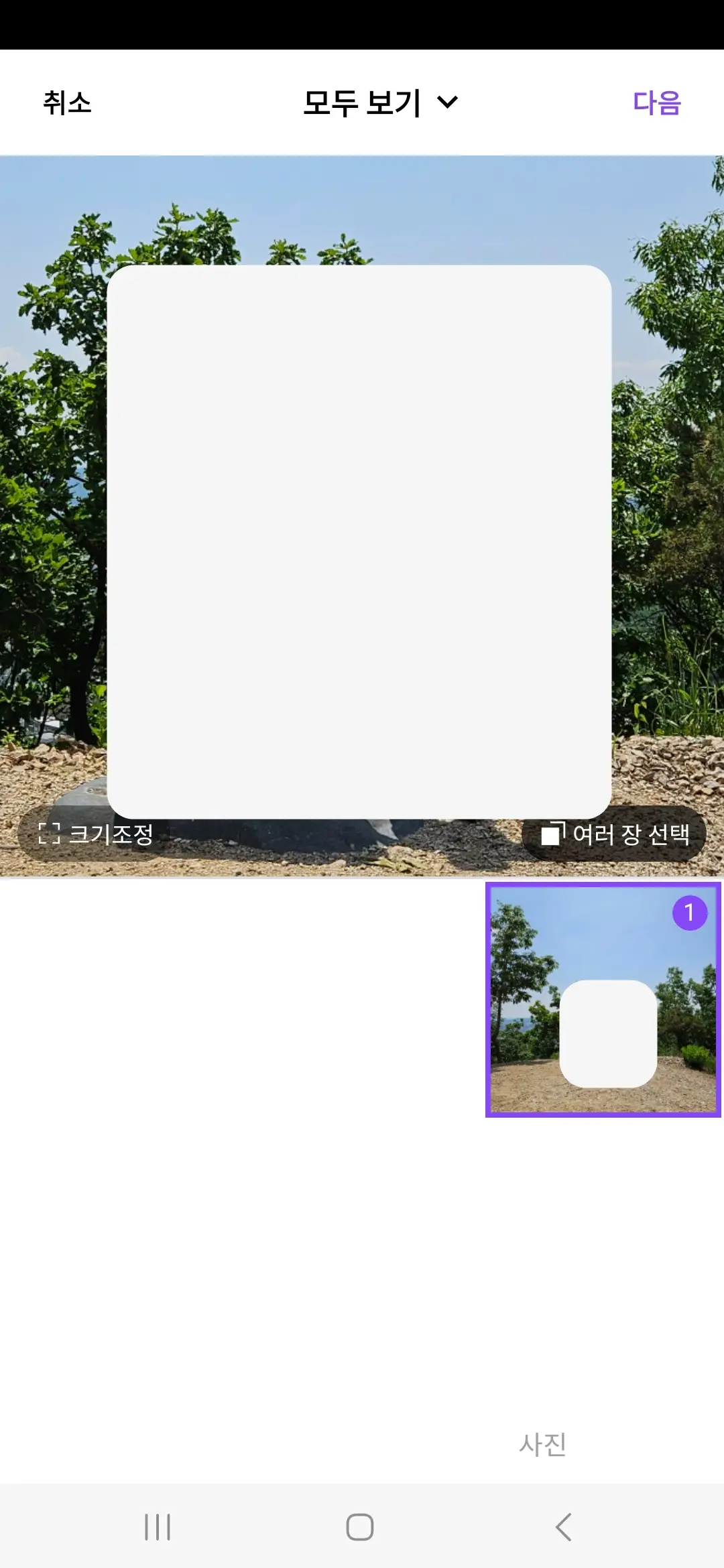 인증 사진 선택 다음