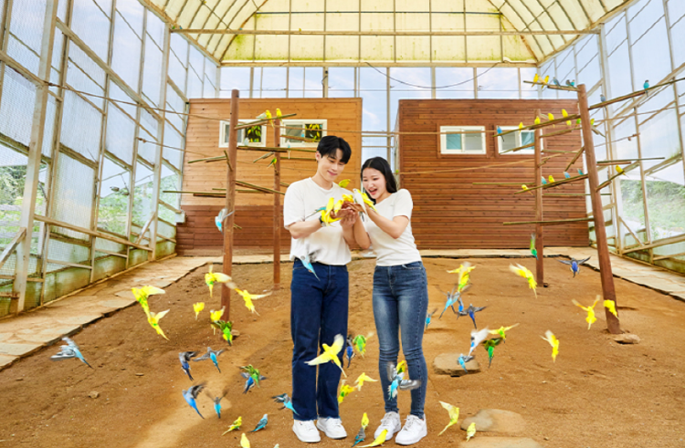 홍천 알파카월드