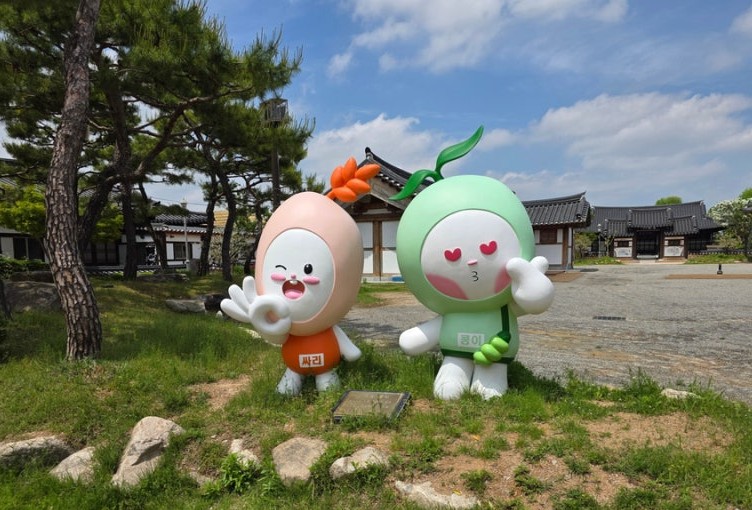 김제 지평선 축제