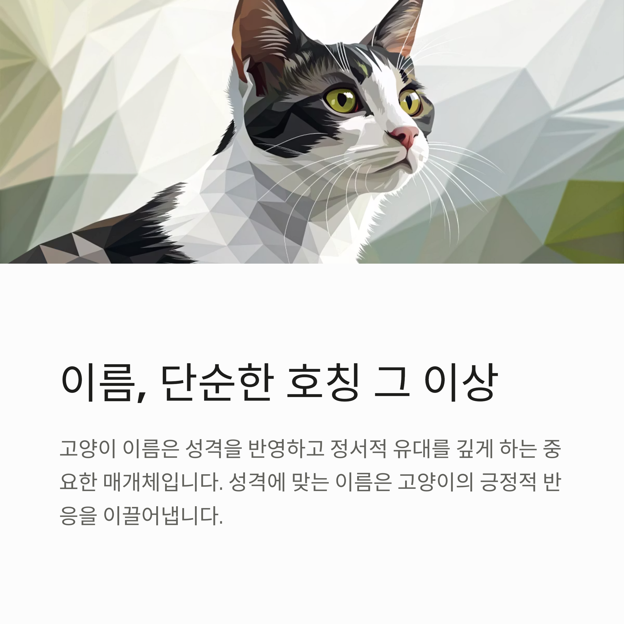 이름, 단순한 호칭 그 이상
