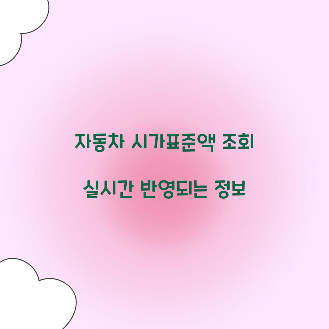 자동차 시가표준액 조회 실시간 반영되는 정보